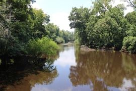 Florida River Timber & Recreational Tract