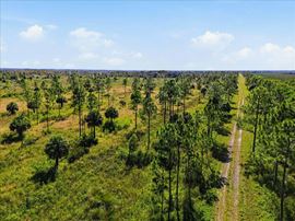Big Cypress Preserve