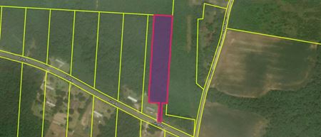 VacantLand space for Sale at 2350 Furse Rd in Summerton