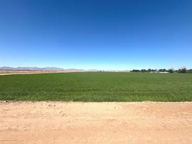 Excellent Vegetable Farmland: ±110 Water Acres in Wellton
