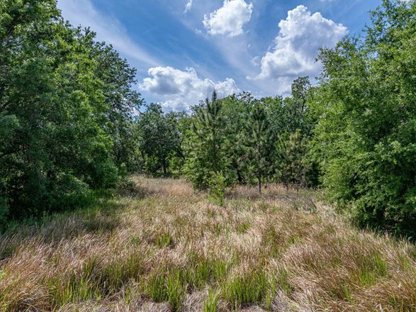 Lakeland Airport Rd Development Acreage