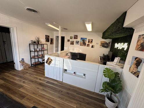 PROFESSIONAL RETAIL/OFFICE CONDOMINIUM
