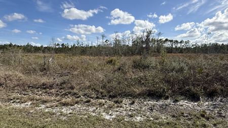 VacantLand space for Sale at Martin Sewell Road in Altha