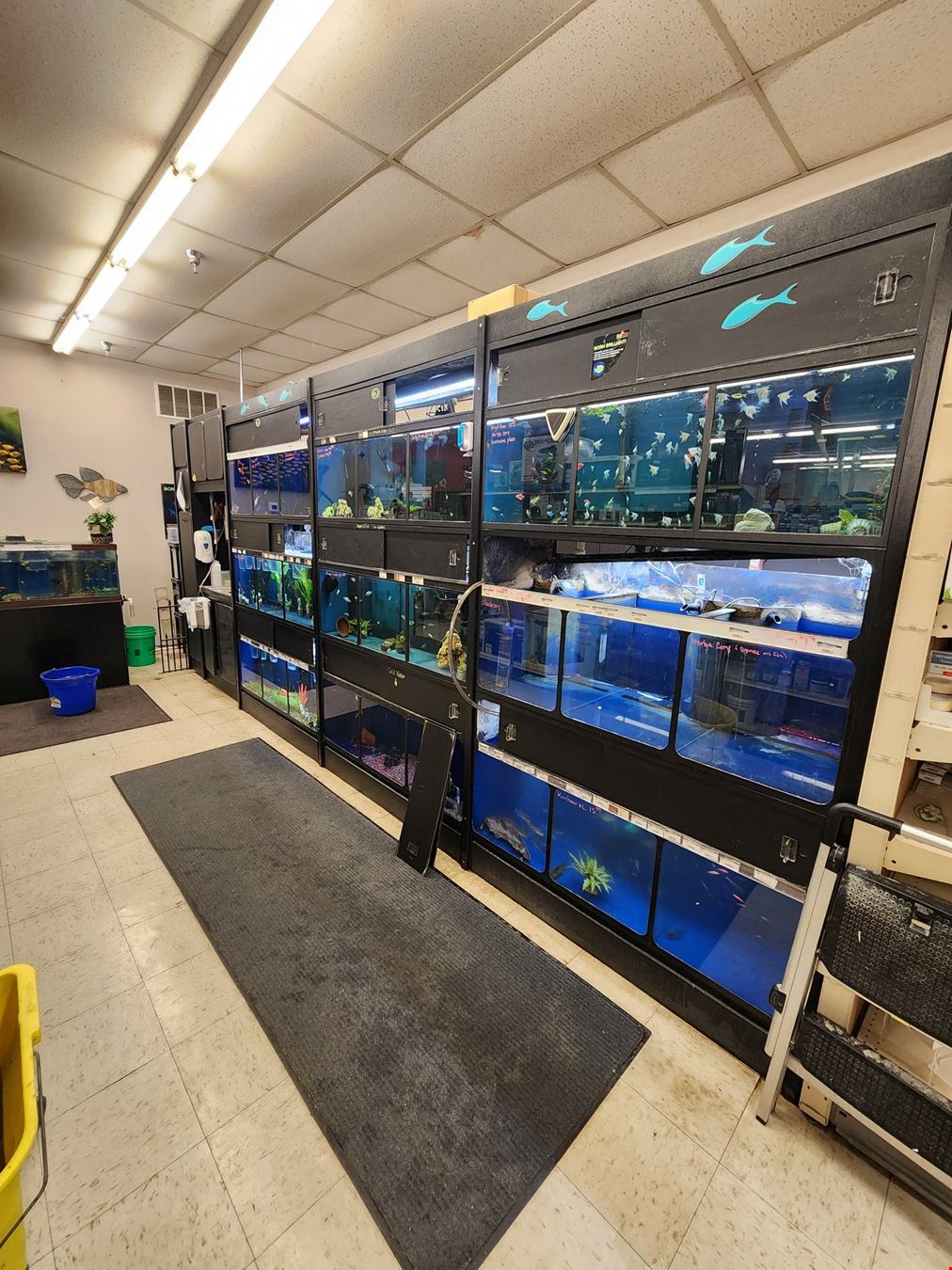 Critter Mart