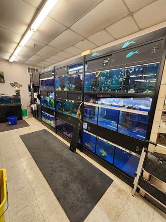Critter Mart