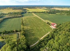 Niagara Wine Trail Investment Land