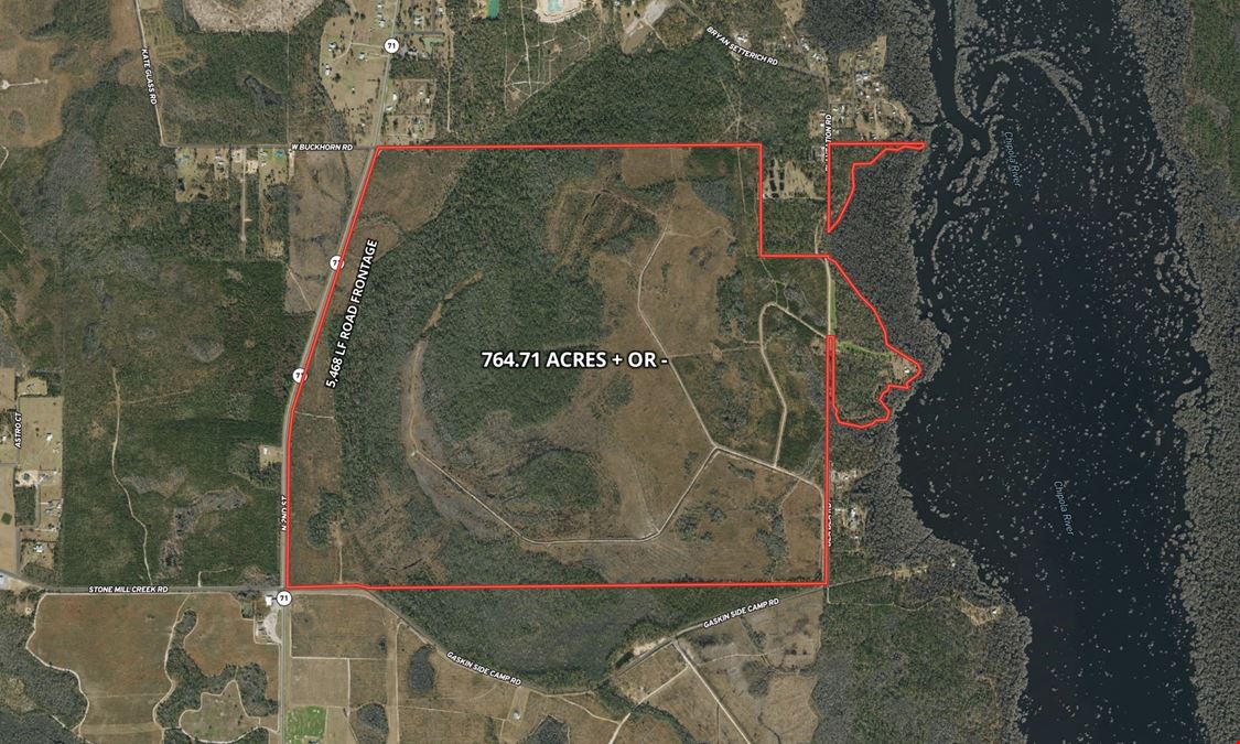 765 Acre Dead Lakes Tract Gulf County