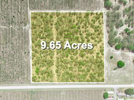 9.65± Acres on Friedlander Rd | Lake Wales- Polk County | Rural Homesite / Ag / Recreation