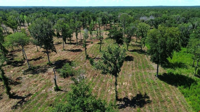 39 +/- Acres in Horse Country
