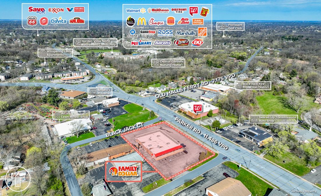 Family Dollar