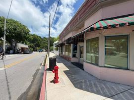 607 Fleming Street