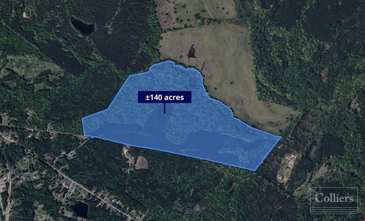 ±140-Acre Timber & Recreational Tract | Ridgeway, SC