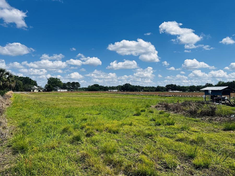 Springhead 17 Acre Strawberry Farm