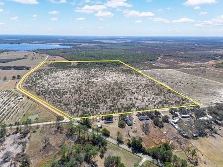 VacantLand space for Sale at  Lake Streety Rd in Frostproof