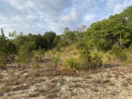 5.27 Commercial Acres in Bulverde, TX