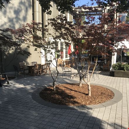 Los Gatos Village Square