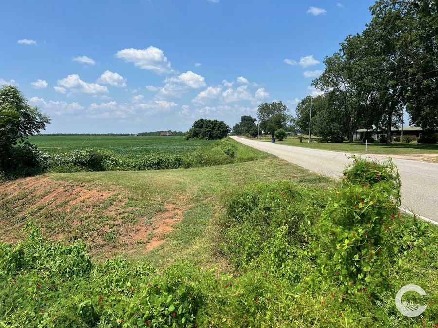 256 +/- Acre Investment Opportunity in Brewton, AL