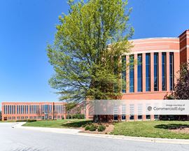 Triad Center - 4161 Piedmont Pkwy