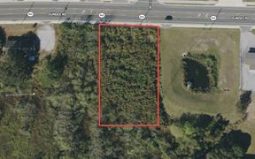 Commercial Lot on Dundee Road - Polk County, FL