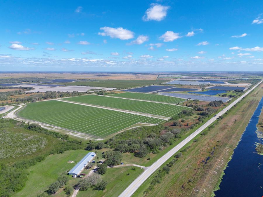 Hyatt Farms at Lake Kissimmee 1,660 +/- Acres