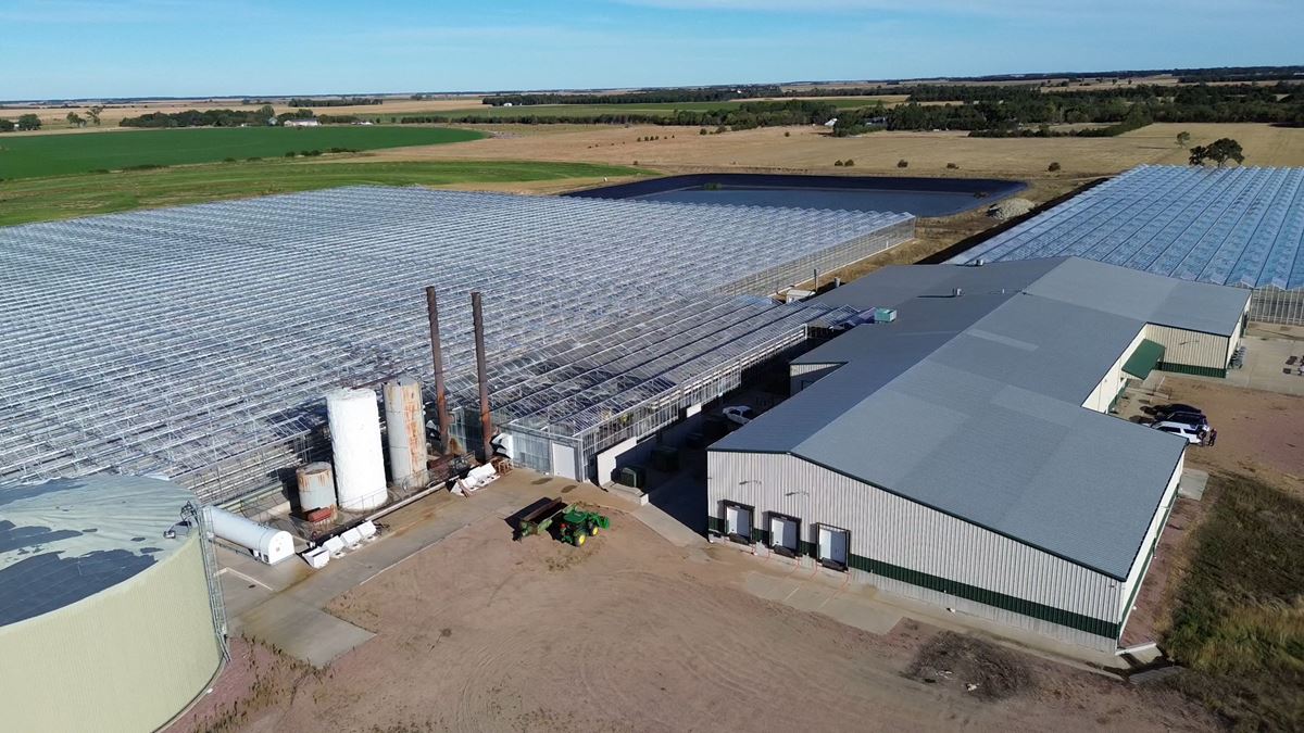 Large-Scale Industrial Greenhouse Operation