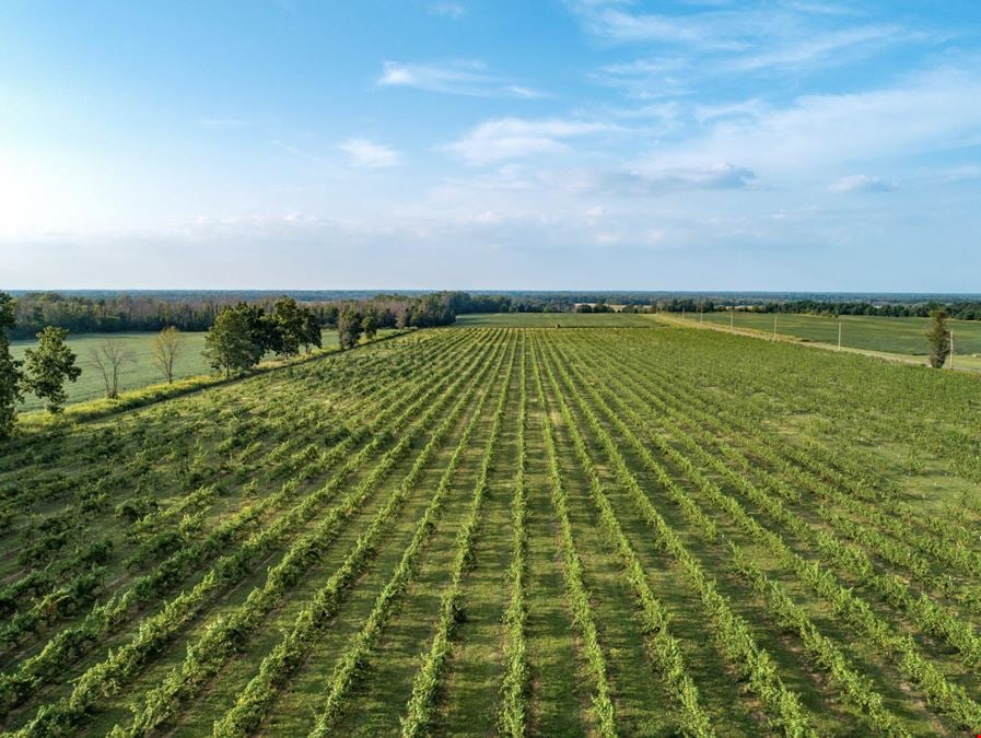 Niagara Wine Trail Investment Land