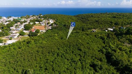 Photo of commercial space at  South of PR-113 Km. 6.1, Coto Ward in Isabela