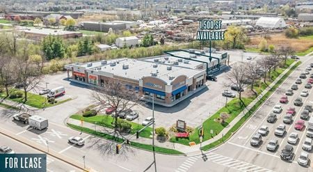 Retail space for Rent at 440 W Army Trail Rd # 50 in Bloomingdale