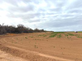 68.9 Acres with Farm Land - Avenue 43 E
