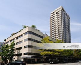 Bay Vista