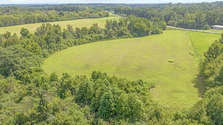 VacantLand space for Sale at 15336 Al Hwy 75 in Henagar