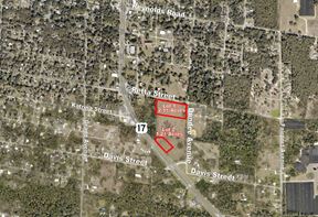 Commercial Acreage on US Hwy 17