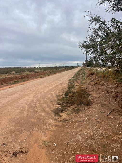 136.192 Acres Lubbock Co., TX 79416