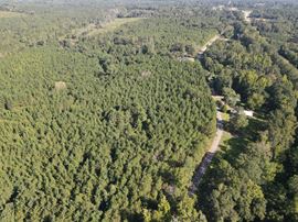 Beatrice Hunting Tract