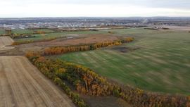 Schickedanz West - 193.21 Acres