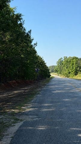 15 Acres in Pansey, AL | Planted Pines & Privacy