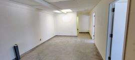 1335 Erin Street