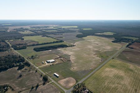 Jackson County Improved Ag Land and Timber - Marianna