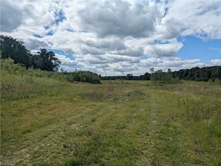 VacantLand space for Sale at 9019 Sr 45 Rd in Saybrook