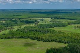 TTT Ranch