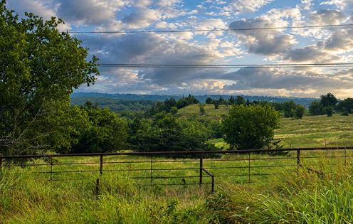±12 ACRES IN WISE COUNTY