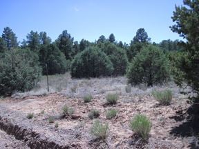 16 Camino Circular