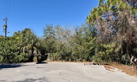 905 Royal Palm Drive