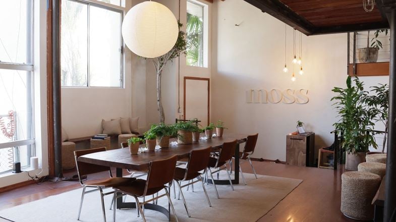 Moss Collective