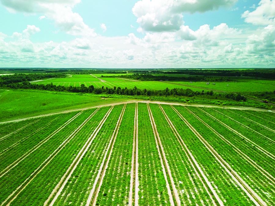 Manatee County Farm Land