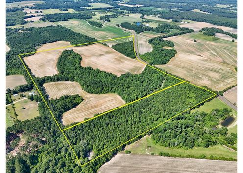 Dupree Tract