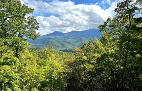 4.88 Acre Mountain Development Gatlinburg, TN