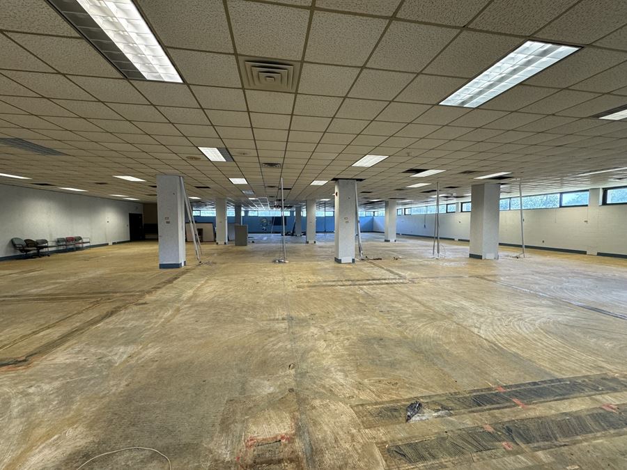 5,000 to 18,000 sqft Office Space