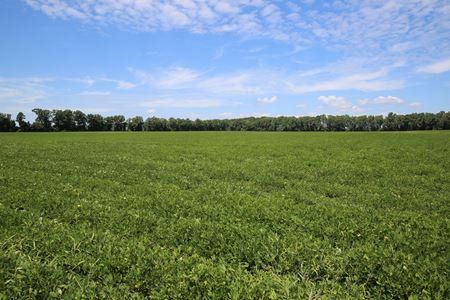 Photo of commercial space at Ross Rd in Robersonville