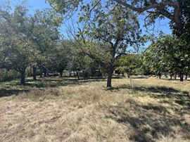 PRICE REDUCED! 3.713 Acres of Land - Commercial Possibilities